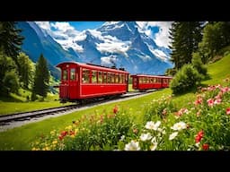 World’s Most Scenic Train Journey in Switzerland _ Schynige Platte Bahn,Top of Swiss Tradition