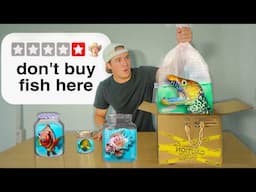 Buying Live Fish From The Worst Rated Websites