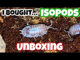 Isopod UNBOXING! (Delayed shipping😳🥶)