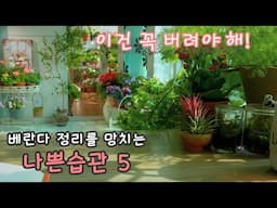 [4K]단정한 베란다를 위해 절대 하지말아야 할 5가지 습관 Before & After / 베란다 정리 이것부터 시작하세요/ 아무리 치워도 정리가 잘 안된다면 이게 문제일지도