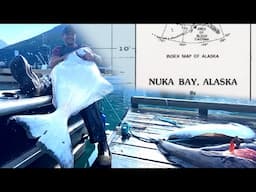 Alaska Big Fish Fishing but they only get bigger in Nuka Bay