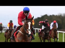 Things you LOVE to see! SIR GERHARD gets back in the winner's enclosure at Punchestown ❤️