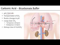 Introduction to Blood