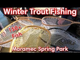 December Trout Fishing 2024 | Maramec Spring Park