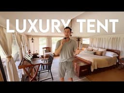 Luxury in the Serengeti: Pioneer Camp Tour + Review