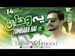 Ye Watan Tumhara Hai || National Song Of Pakistan by Talha Mehmood