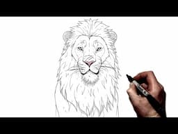 How To Draw Kiros | Step By Step | Mufasa / Lion King