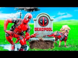 Deadpool vs Superheroes! What Happened to Deadpool?