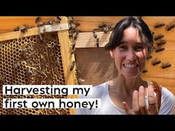 #40 my first honey a new chicken coop and other summer farm chores