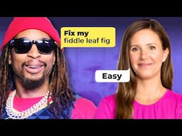 Watch how I help Lil Jon SAVE his Fiddle Leaf Fig!