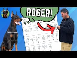 Can a Doberman Learn Sign Language?! (Extreme Intelligence)