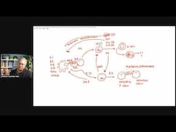 An Overview of Our Immune System