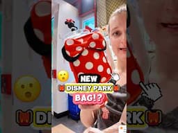 NEW Disney Park Bag Idea?! 😮🎒(Minnie Mouse Tumbler & Pouch)