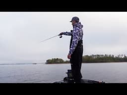 SCHOOLING FISH LEADS ME TO MEGA SCHOOL!! (Lake Hartwell)