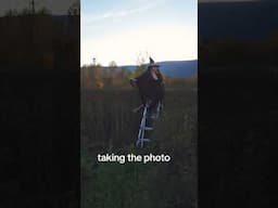 Taking witch portraits on a broomstick. Halloween photoshoot