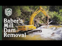 Unlocking the Waters: Baber’s Mill Dam Removal Benefits Fish, Mussels, and More!