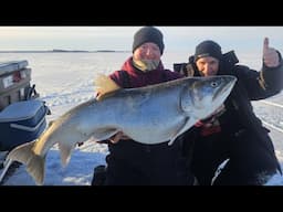 Primitive Fishing with a Piece of Wood (Viking Lodge Cabin Walk Through) #laketrout #vikinglodge