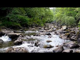 Mountain Stream Flowing 24/7. Waterfall Sounds. River Sounds. Flowing Water Sounds for Sleep, Relax.