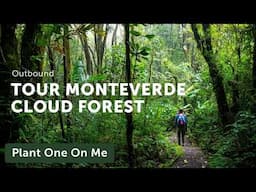 Tour MONTEVERDE CLOUD FOREST in Costa Rica — Ep. 407