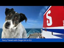 Pet Ferry Travel - To the EU from the UK