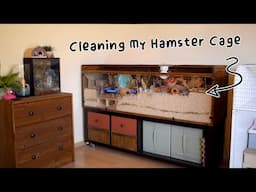 Clean My Hamster Cage With Me 🐹🍂🎃 + Treat Haul Unboxing!