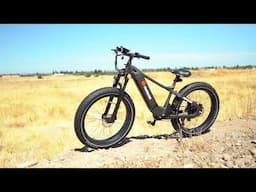 Freedare Saiga Review: The Ultimate All-Terrain Electric Bike?