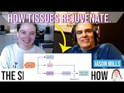 Paligenosis - The method of tissue rejuvenation - Jason Mills