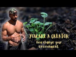 You are a Creator - Design your environment