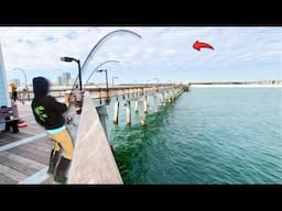 Fishing Cut Bait on This GULF PIER to Catch Dinner! *Catch & Cook*