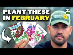 10 Crops You'd Be Crazy Not To Plant NOW in February