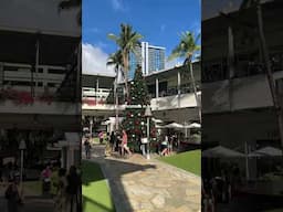 christmas in hawaii🎄🌺🎁