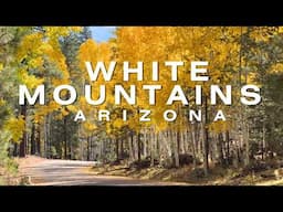 Best Small Towns in Northern Arizona White Mountains 2025