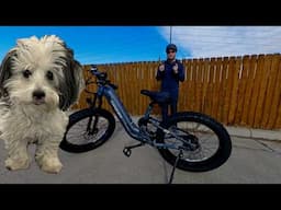 Puckipuppy Boxer ST E-Bike the Best Bang for Your Buck? Full Review & Test Ride