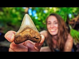 Our BEST Shark Tooth Hunt in AGES! Just Before Hurricane Helene Hits 🌀⛈️