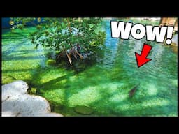 I Traveled 1500 Miles To See This AMAZING Fish Collection!