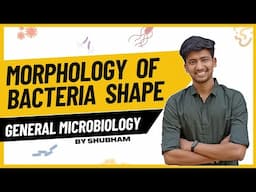 Morphology Of Bacteria (Shape) || General Microbiology || Second Year MBBS || Microbiology || Ashish