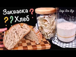 🍞ЗАКВАСКА и ХЛЕБ👍СОБРАЛА ВСЕ ВОПРОСЫ Ответы по закваске и выпечке хлеба на закваске Люда Изи Кук