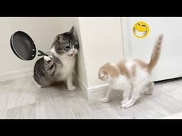 Cats vs Dogs: Epic Funny Moments and Fails! 😂🐱🐶