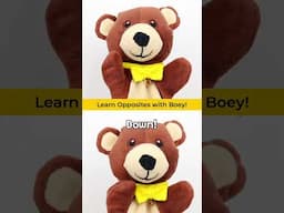 ⬆️ Up... and DOWN! ⬇️ Learn to talk with Boey Bear 🐻 #toddlers #shorts #kids