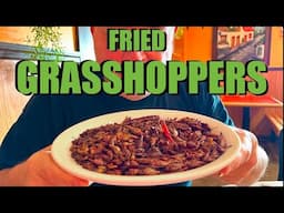 FRIED GRASSHOPPERS & AUTHENTIC OAXACAN CUISINE @ LA LUPITA MEXICAN RESTAURANT | MY NEW #1