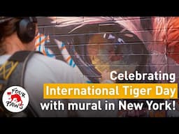 New York City Tiger Mural Celebrates International Tiger Day | FOUR PAWS | [SUBS]