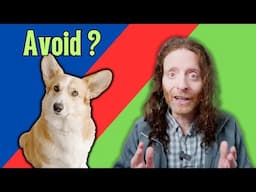 Choosing a Dog Trainer? You MUST Avoid These Red Flags!