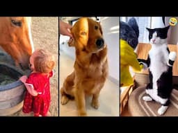 Funny ANIMALS videos 😂 Funniest CATS😺 and DOGS🐶 2025