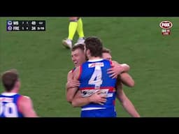 Dogs vs. Hawks - Round 1 - 2024 AFL Finals