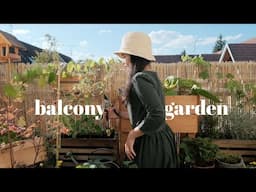 180 days of my 3 m² balcony garden (part II)