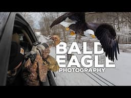 Photographing Bald Eagles at a Frozen Lake