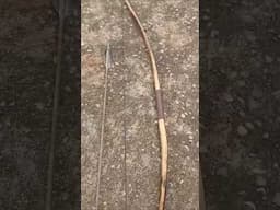 Primitive Bow made by José Ricardo