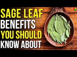 9 Benefits of Sage You Should Know | Health Benefits of Sage Leaves