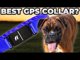 NEVER LOSE YOUR DOG - Fi GPS Dog Collar Review