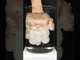 Freezing my hand in hot ice